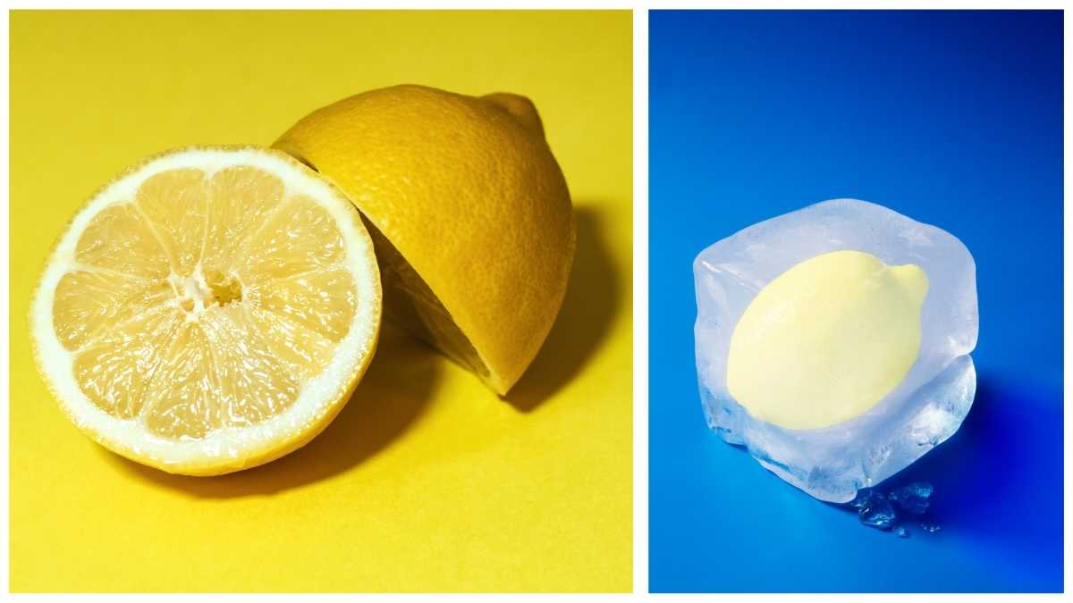 Citron congelé bienfaits
