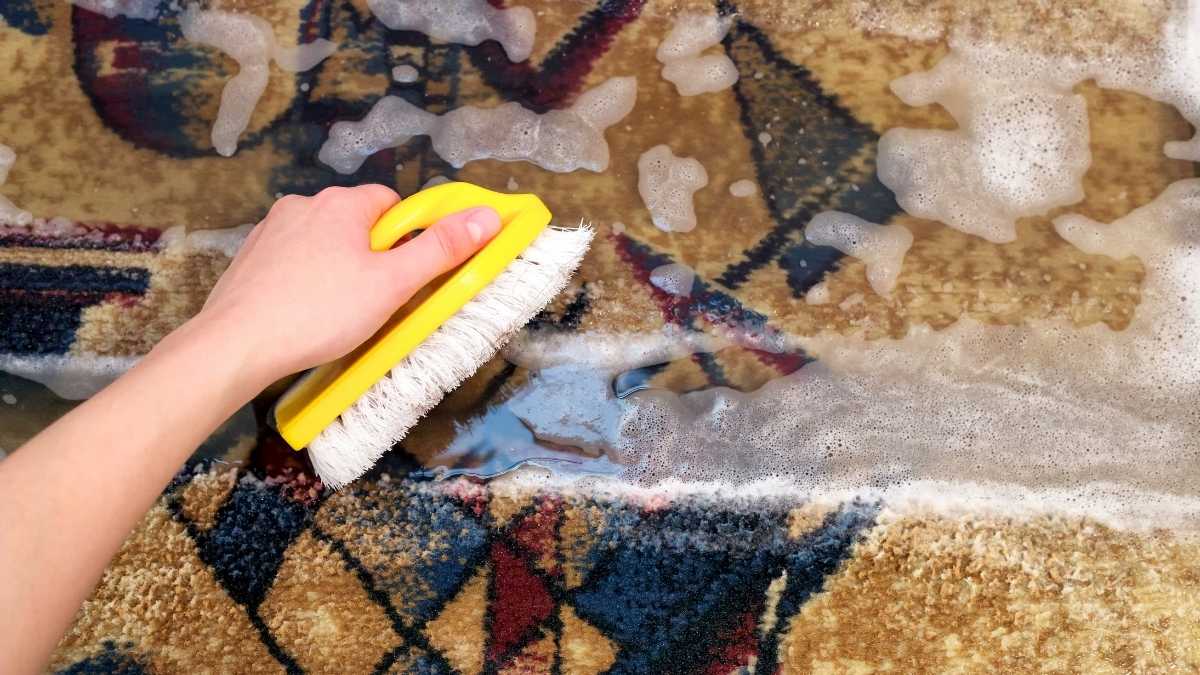 Comment nettoyer les tapis