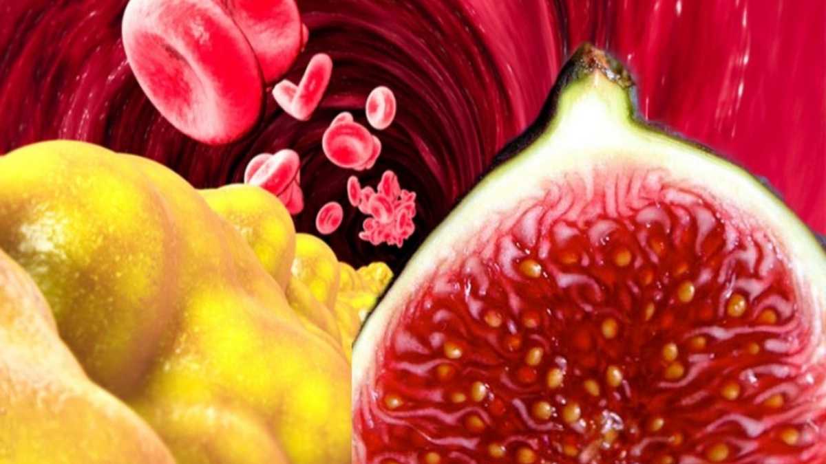 Le fruit qui combat le cholestérol et peut réduire la glycémie en 30 minutes