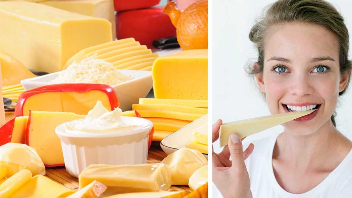 5 fromages les moins gras parfaits si vous suivez un régime. Voici la liste !