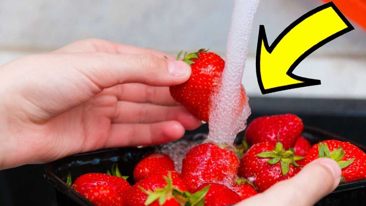 Pesticides dans les fraises : le rinçage ne suffit pas ! L'astuce pour les enlever
