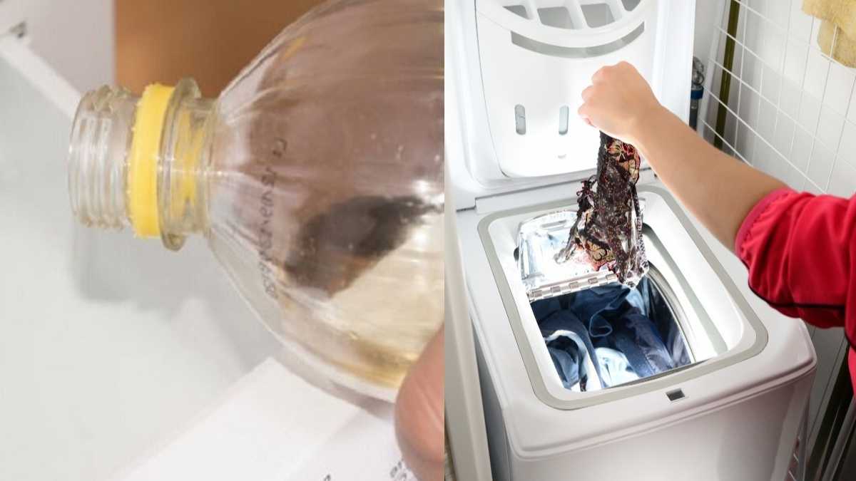 Vinaigre de vin blanc dans la machine à laver : voyez si vous le mettez dans le bon bac