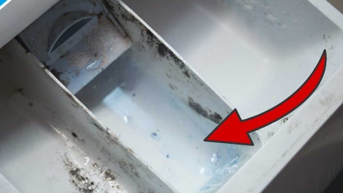 Bac à lessive sale ? Les conseils d’experts pour le nettoyer et le désinfecter