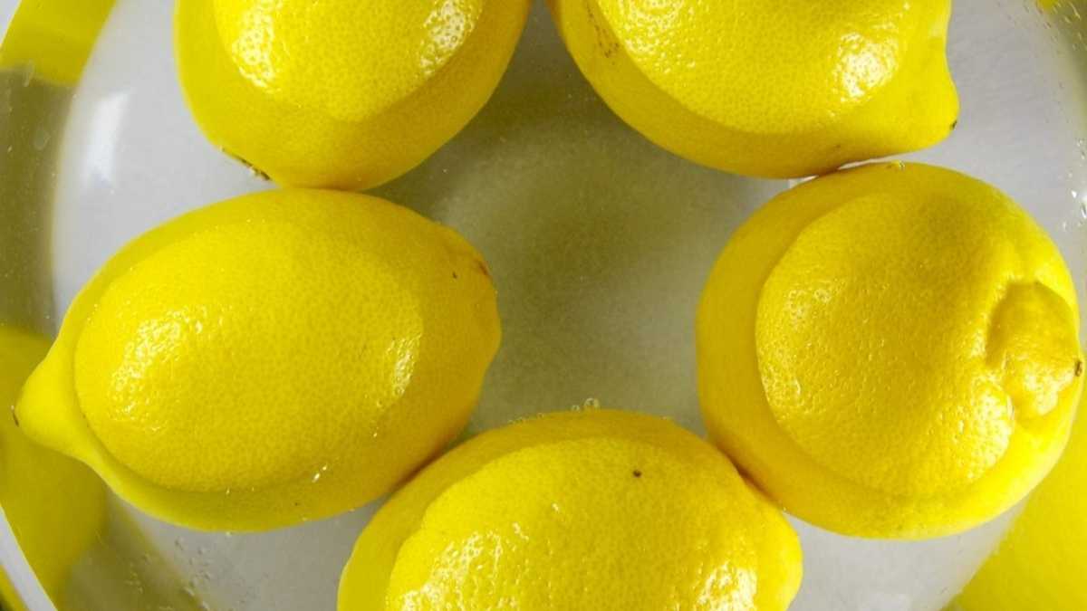 Découvrez l’astuce pour conserver vos citrons plus longtemps sans les faire moisir !