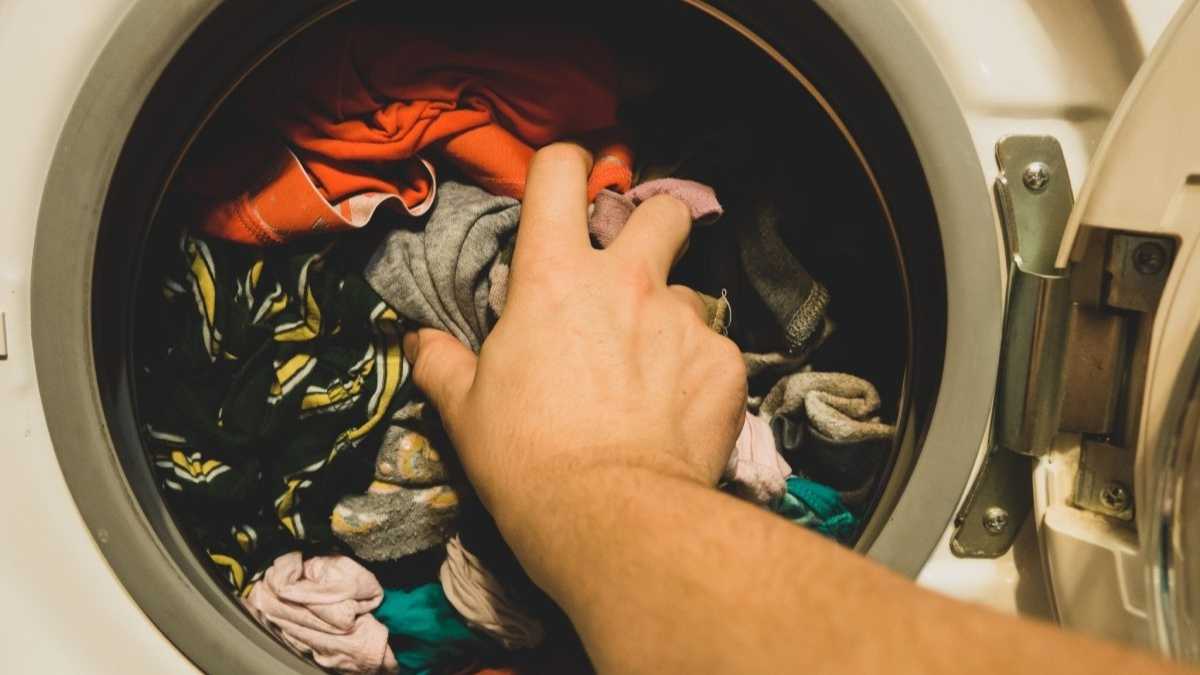 Du laurier dans la machine à laver pour dire adieu aux vêtements délavés