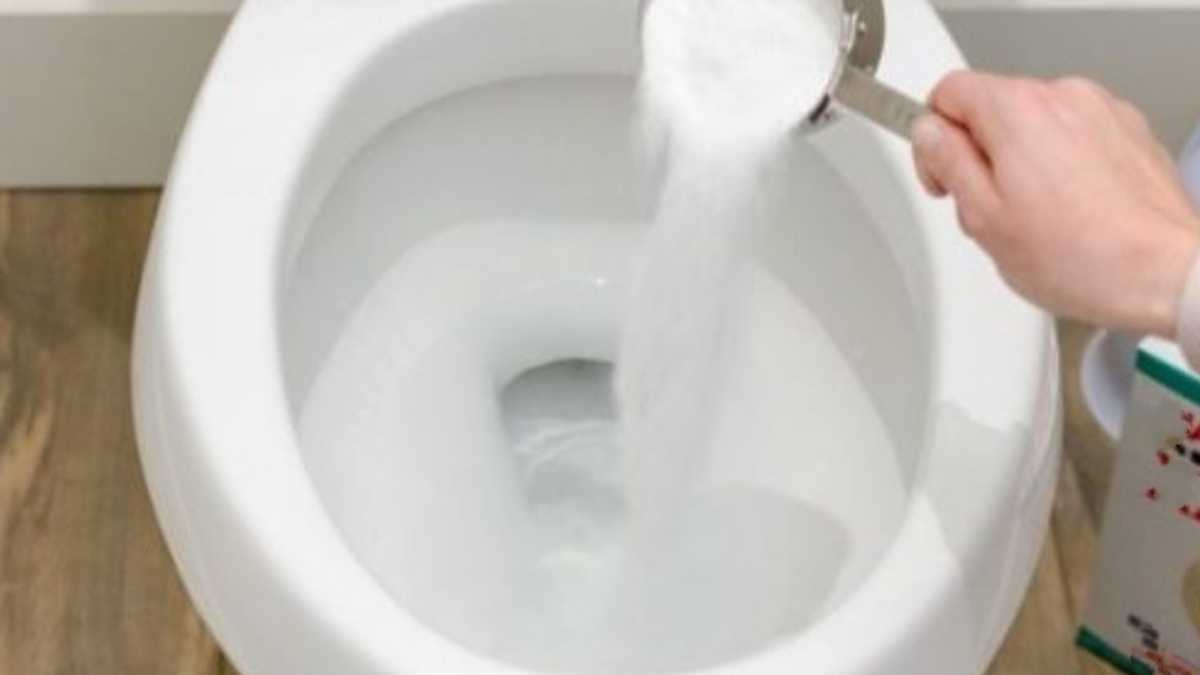 Cette lessive en poudre est géniale, essayez-la aussi dans vos toilettes ! Le résultat est surprenant !