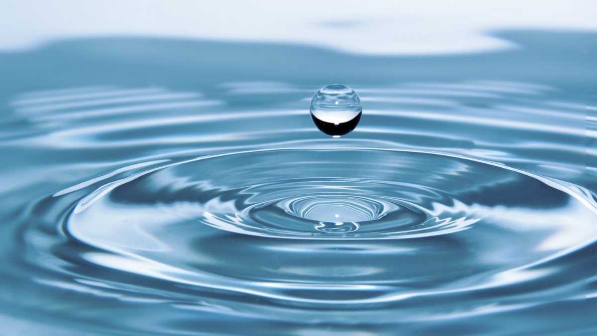 Comment économiser l'eau : 3 conseils pour réduire le gaspillage