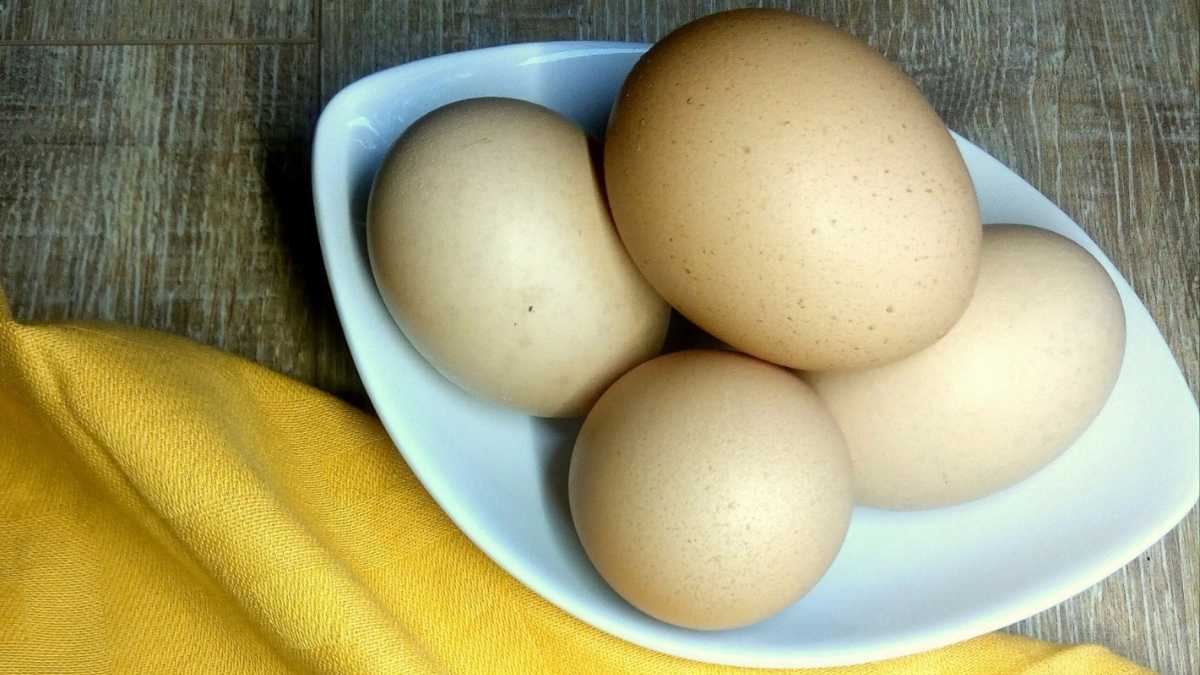 Comment savoir si vos œufs sont frais