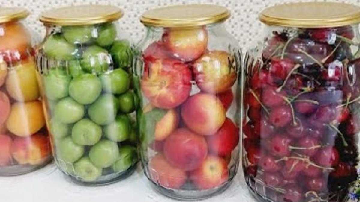 Conserver à long terme des fruits frais sans frigo : découvrez comment !