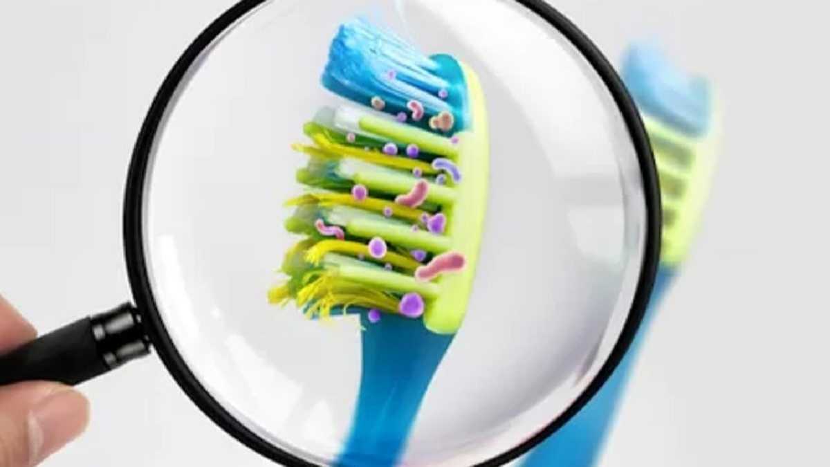 La brosse à dents, ce nid à bactéries : comment la désinfecter et la nettoyer correctement ?