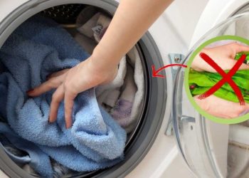 Lessive parfaite : ne mettez jamais ces vêtements dans la machine à laver !