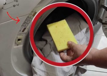 Mettre l’éponge à la machine à laver : pour résoudre un problème sans efforts !