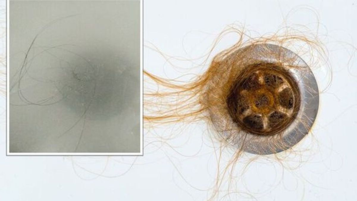 Flexisnake vidange Millipede Cheveux Outil de bouche pour nettoyage des canalisations 