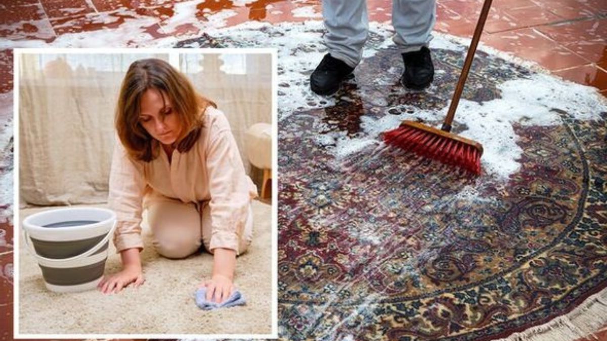 Nettoyage du tapis en profondeur au moyen d’une solution conçue sans éléments chimiques