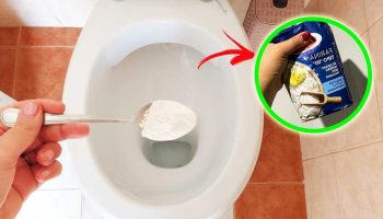 Comment retirer le calcaire de vos WC et les blanchir grâce à une cuillère de farine