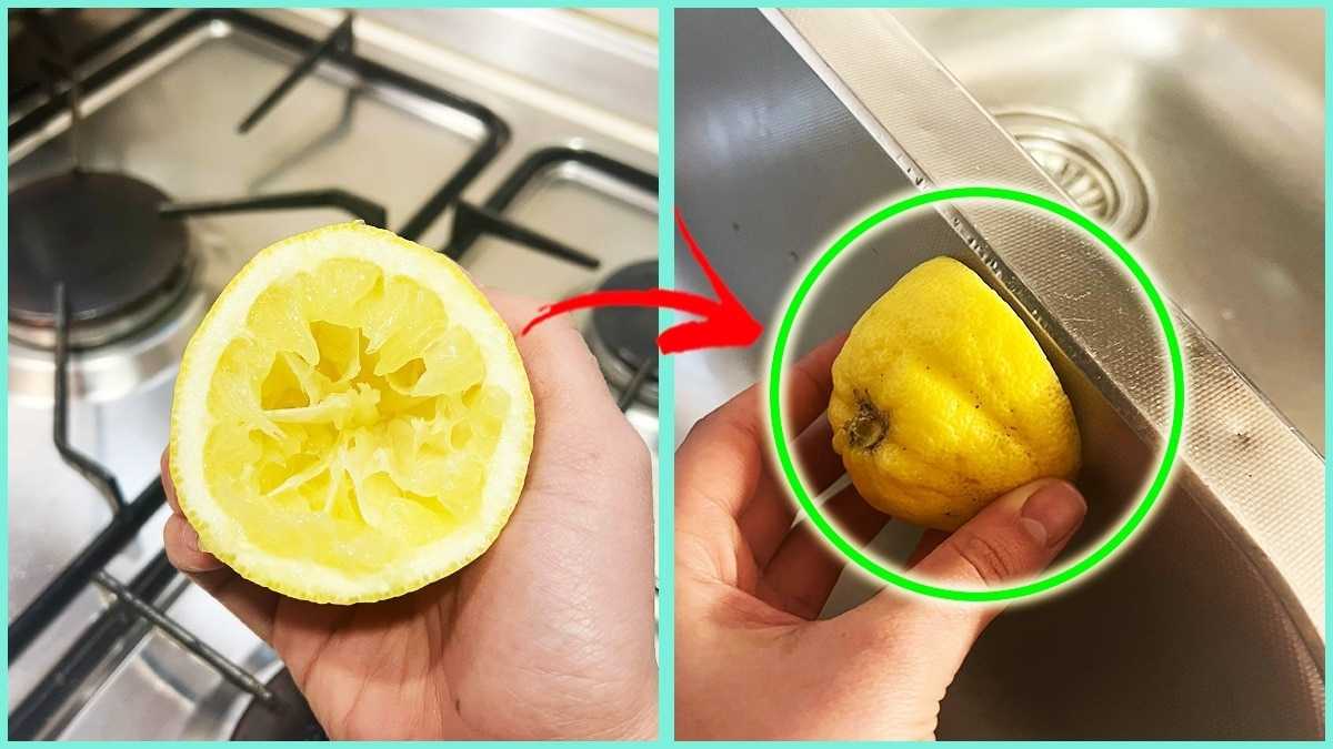 Ne jetez plus vos citrons pressés