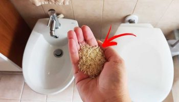 Avez-vous déjà utilisé une poignée de riz pour dire adieu aux mauvaises odeurs de la salle de bain