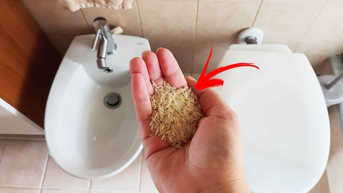 Avez-vous déjà utilisé une poignée de riz pour dire adieu aux mauvaises odeurs de la salle de bain