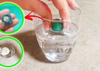 Comment enlever le calcaire incrusté des filtres de robinet avec la méthode du verre