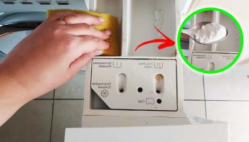 Comment enlever la moisissure du tiroir de la machine à grâce à une seule astuce à faire soi-même ?