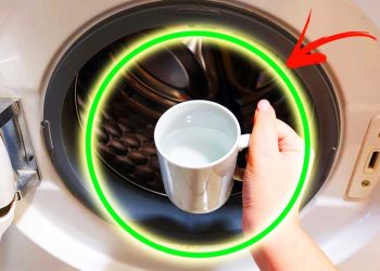 Comment nettoyer intégralement votre machine à laver grâce à une tasse de ses ingrédients ?