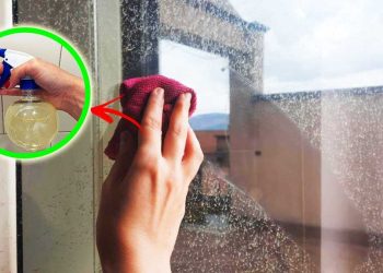 Comment nettoyer vos vitres avec un spray anti-taches ?