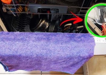 Comment sécher la vaisselle du lave-vaisselle grâce à l’astuce du torchon ?