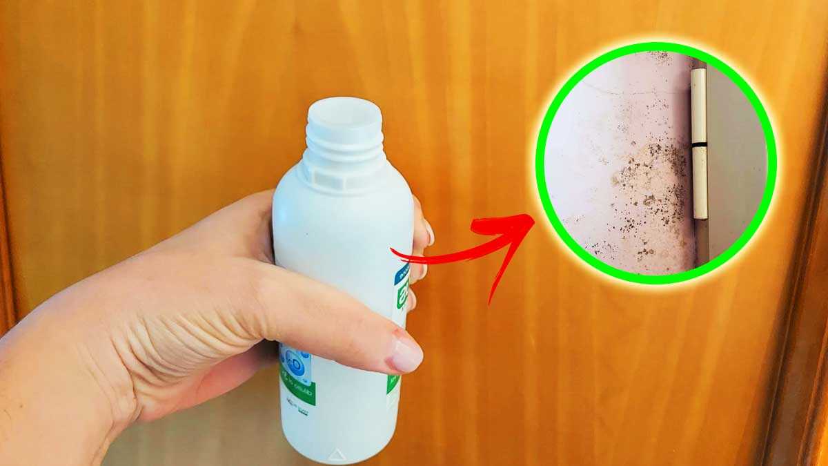 Comment utiliser l’eau oxygénée pour éliminer la moisissure à la maison ?