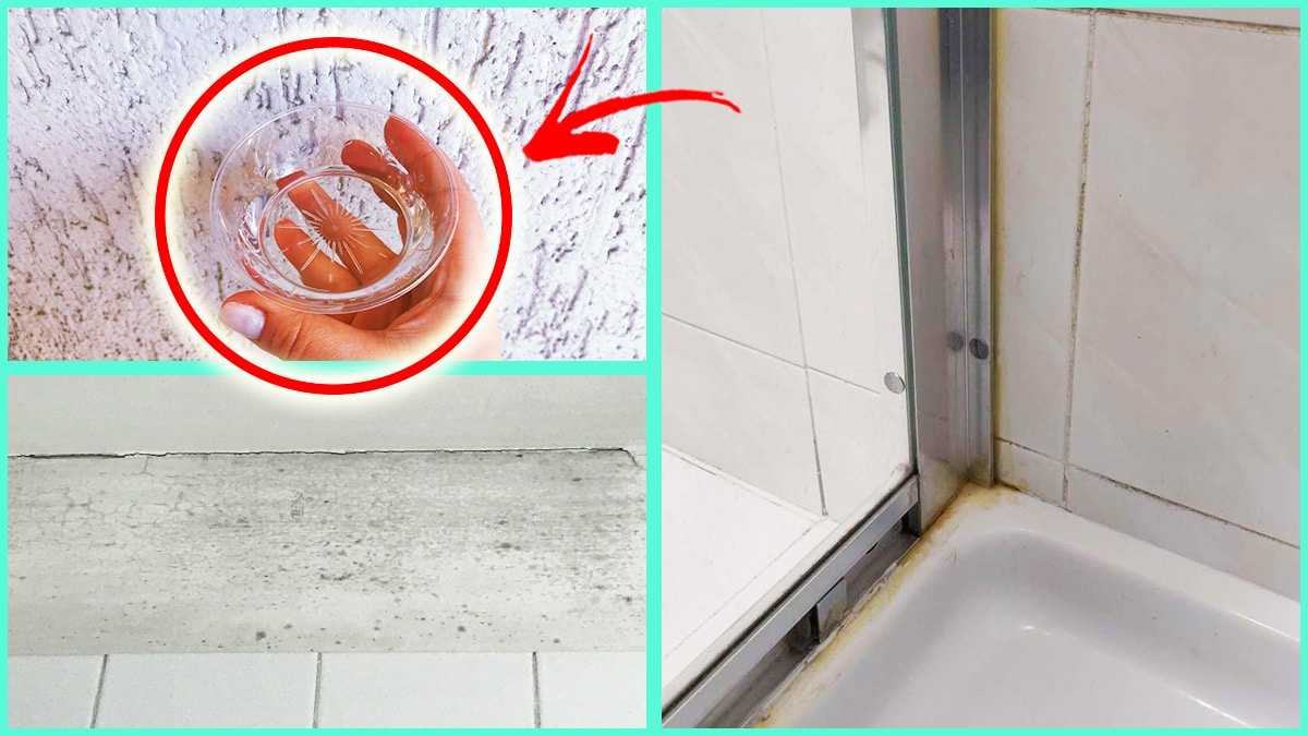 Dites adieu à la moisissure dans la douche grâce à ces 4 + 1 méthodes simples et efficaces