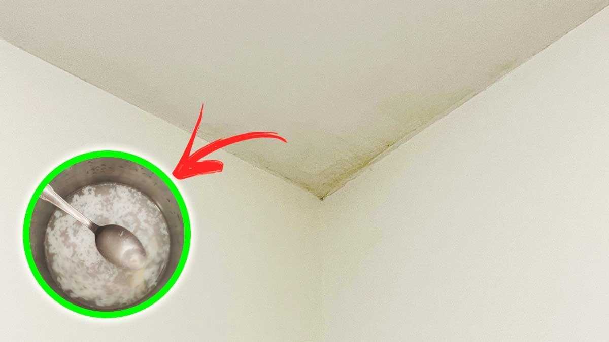 Si l'humidité provoque de la moisissure dans les angles de vos murs