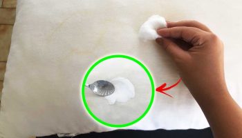 Utilisez la méthode de la cuillère pour retirer les taches jaunes de vos oreillers
