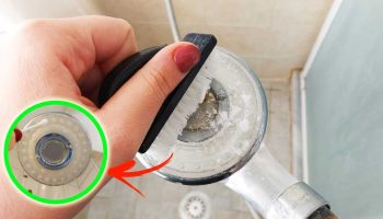 Éliminer le calcaire du pommeau de douche grâce à la méthode rapide de la brosse à dents !
