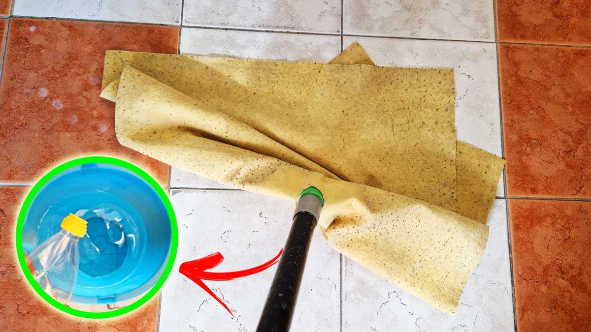 Comment nettoyer votre sol et le parfumer pour éliminer les mauvaises odeurs ?