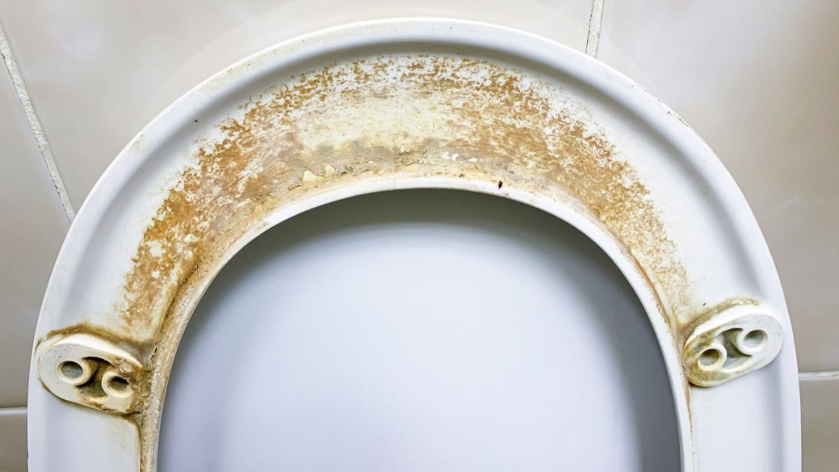 Comment éliminer les taches sur les sièges de vos toilettes avec une pâte magique ?