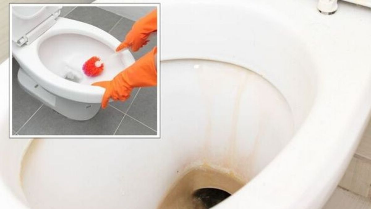 Voici l’astuce à 2 centimes pour enlever les taches de calcaire de la cuvette de vos toilettes