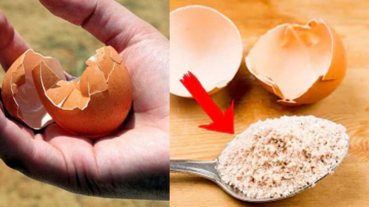 conseils pour utiliser vos coquelles d’œufs