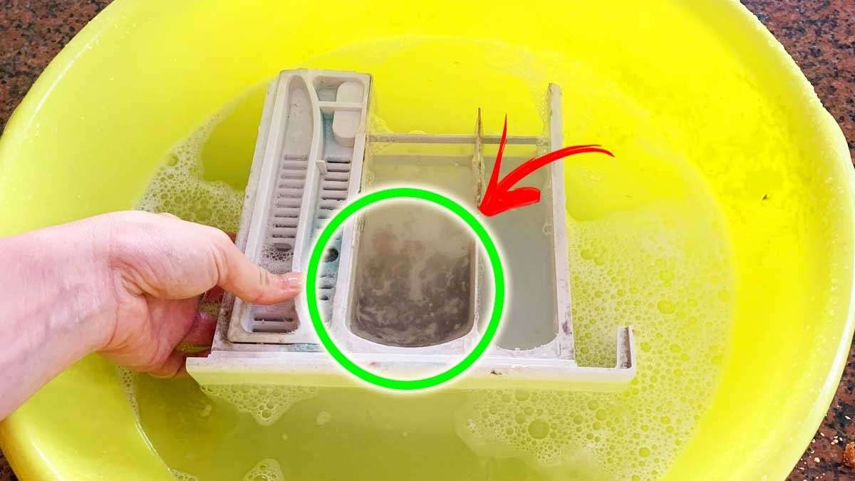 Comment nettoyer le bac à lessive d’un lave-linge