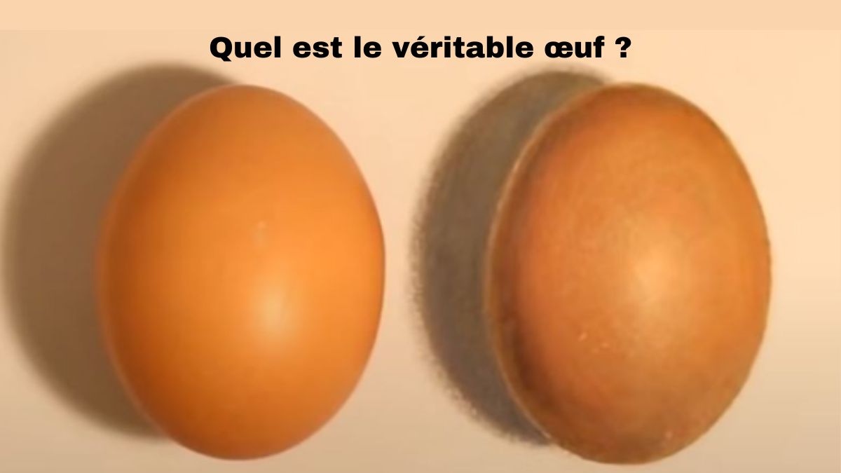 Casse-tête pour tester votre QI : trouvez le véritable œuf en 3 secondes !