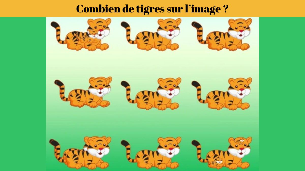 Casse-tête pour tester votre QI : combien de tigres pouvez-vous repérer dans l’image en moins de 9 secondes ?