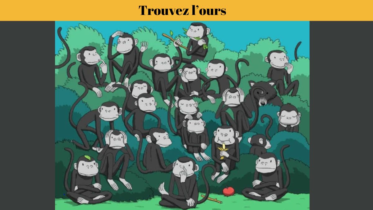 Défi visuel d’illusion d’optique : trouvez un ours parmi des singes en 4 secondes !