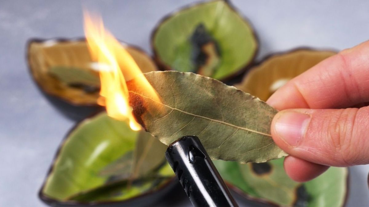7 choses qui arrivent quand vous brûlez une feuille de laurier à la maison