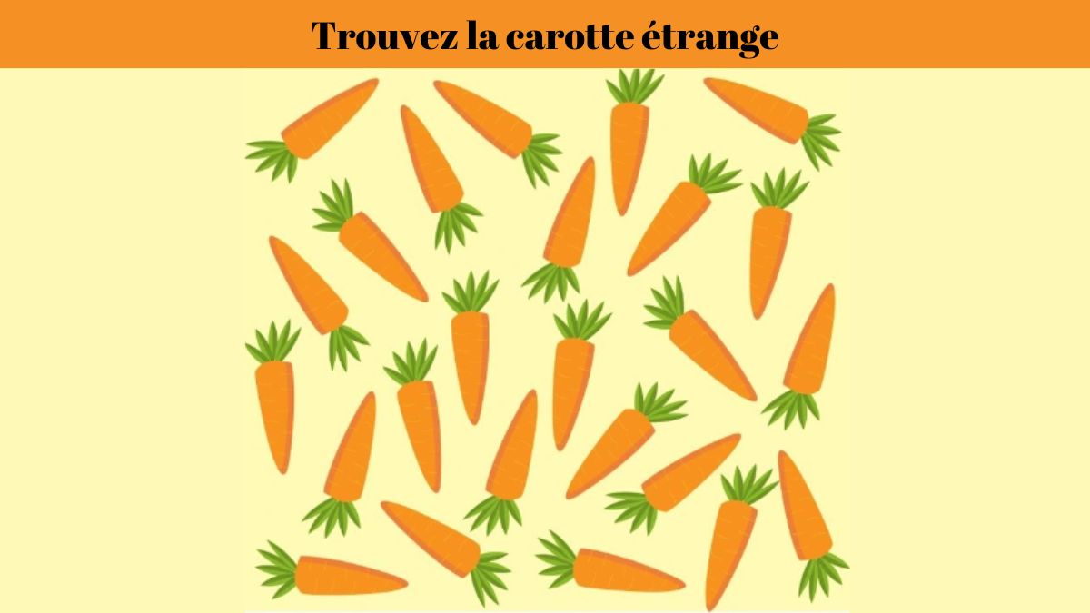 Casse-tête pour test de QI : pouvez-vous repérer la carotte étrange dans l’image en moins de 5 secondes ?