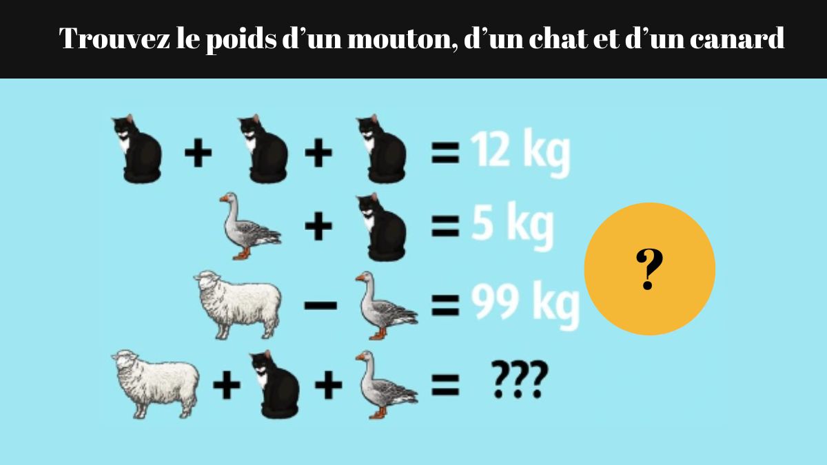 Test de QI sur les puzzles : pouvez-vous trouver le poids d’un mouton, d’un chat et d’un canard en 15 secondes ?