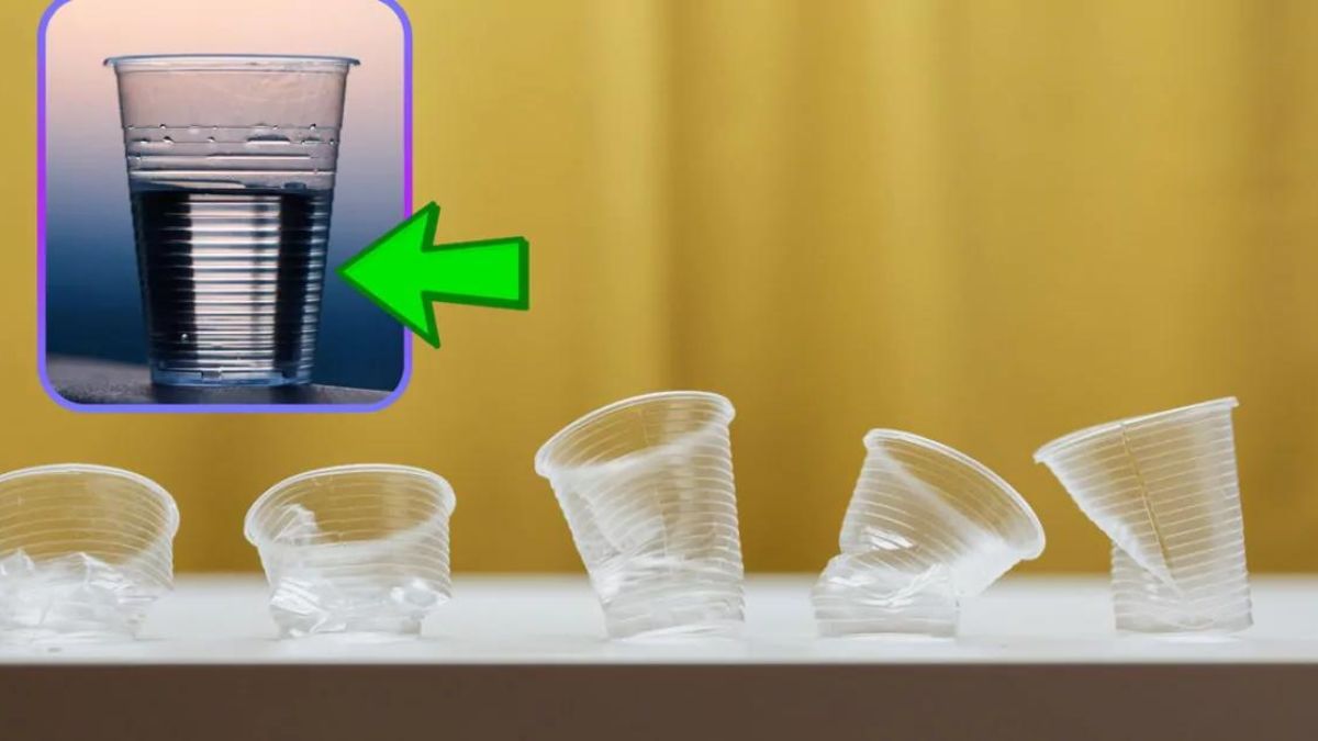 À quoi servent les lignes circulaires sur les gobelets en plastique : la raison que presque personne ne connaît