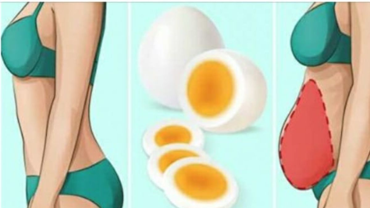 Le régime des œufs durs