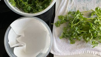 Comment conserver la coriandre fraîche au réfrigérateur ?